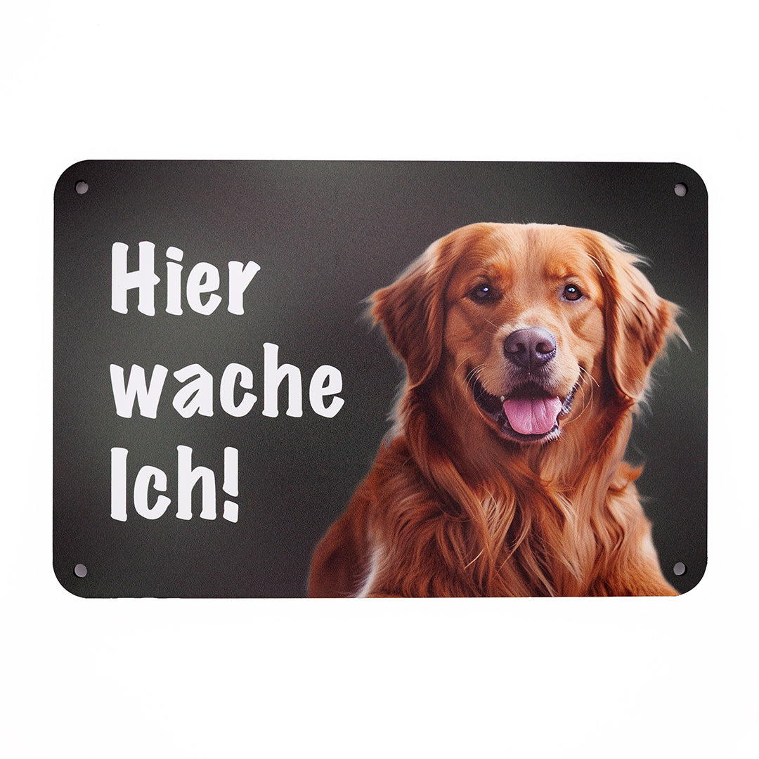 Golden Retriever Warnschild „Hier wache ich“ | Jagdhund Hundeschild für Zaun, Tor & Grundstück, wetterfest
