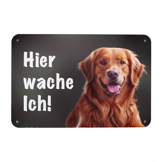 Golden Retriever Warnschild „Hier wache ich“ | Jagdhund Hundeschild für Zaun, Tor & Grundstück, wetterfest
