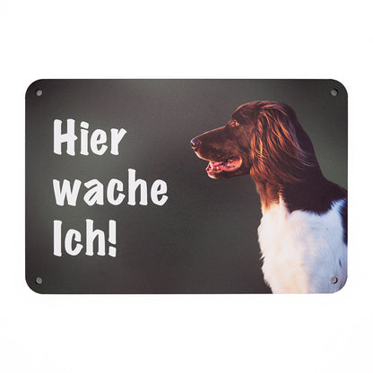 Kleiner Münsterländer KLM Jagdhund Warnschild grün rechteckig 24 x 16 cm Aluverbund Gartenzaun