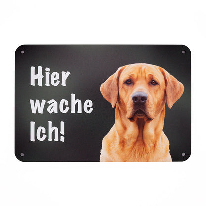 Labrador hellbraun Warnschild „Hier wache ich!“ | Jagdhund Hundeschild für Zaun, Tor & Grundstück, wetterfest