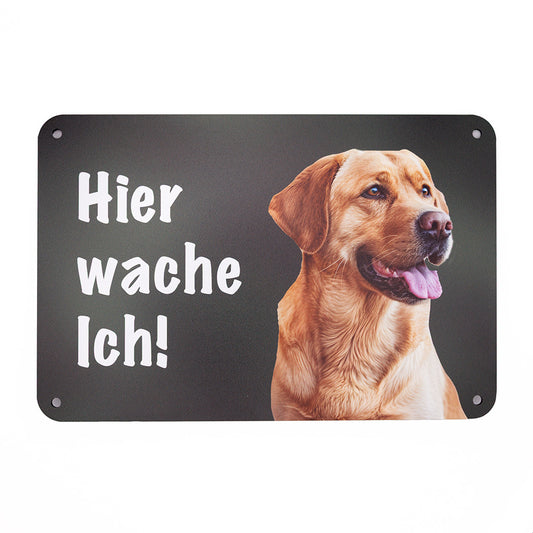 Labrador hellbraun Warnschild „Hier wache ich!“ | Jagdhund Hundeschild für Zaun, Tor & Grundstück, wetterfest