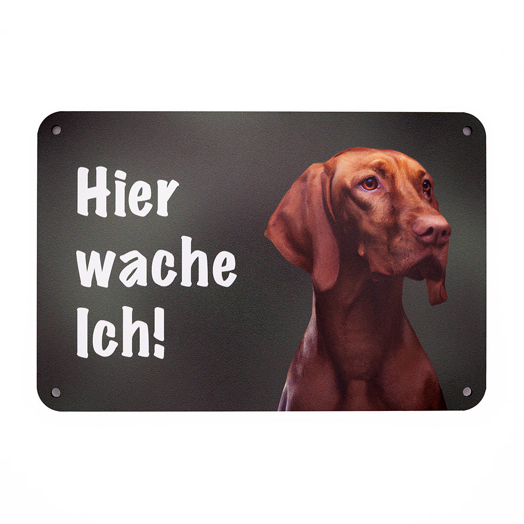 Magyar Vizsla Warnschild „Hier wache ich“ | Jagdhund Hundeschild für Zaun, Tor & Grundstück, wetterfest
