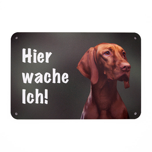 Magyar Vizsla Warnschild „Hier wache ich“ | Jagdhund Hundeschild für Zaun, Tor & Grundstück, wetterfest