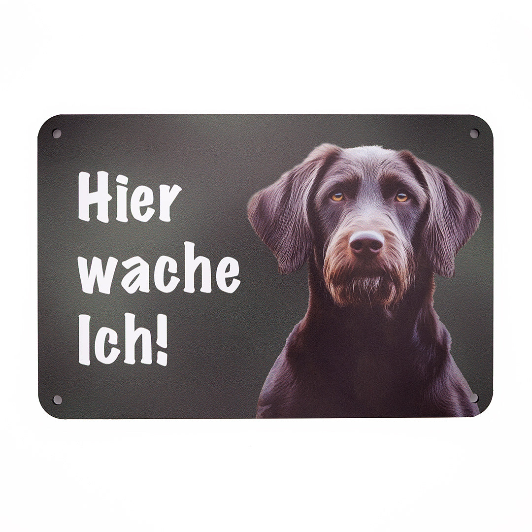 Pudelpointer Warnschild „Hier wache ich!“ | Jagdhund Hundeschild für Zaun, Tor & Grundstück, wetterfest