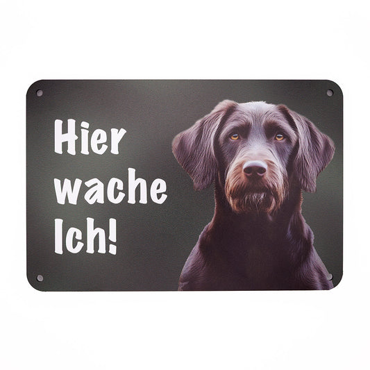 Pudelpointer Warnschild „Hier wache ich!“ | Jagdhund Hundeschild für Zaun, Tor & Grundstück, wetterfest