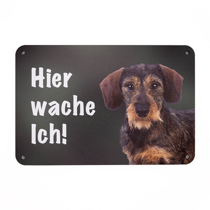 Rauhaarhaardackel - Teckel Warnschild „Hier wache ich!“ | Jagdhund Hundeschild für Zaun, Tor & Grundstück, wetterfest