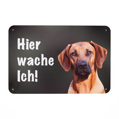 Rhodesian Ridgeback Warnschild „Hier wache ich“ | Jagdhund Hundeschild für Zaun, Tor & Grundstück, wetterfest
