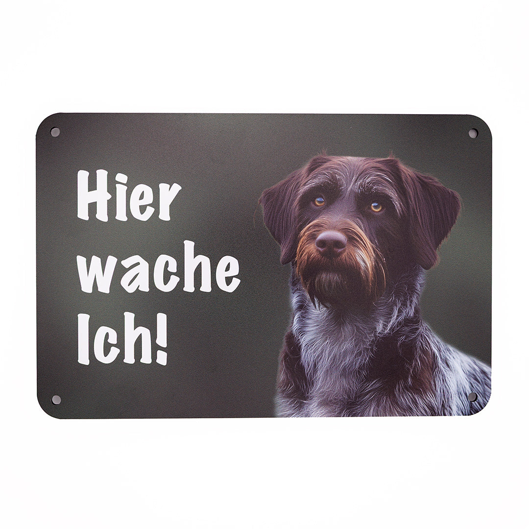 Deutsch Stichelhaar Warnschild „Hier wache ich!“ | Jagdhund Hundeschild für Zaun, Tor & Grundstück, wetterfest