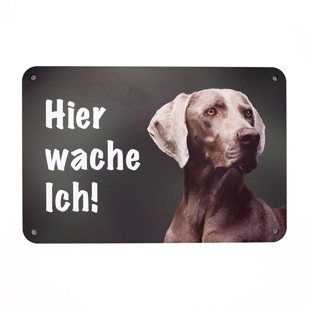 Weimaraner Warnschild „Hier wache ich!“ | Jagdhund Hundeschild für Zaun, Tor & Grundstück, wetterfest
