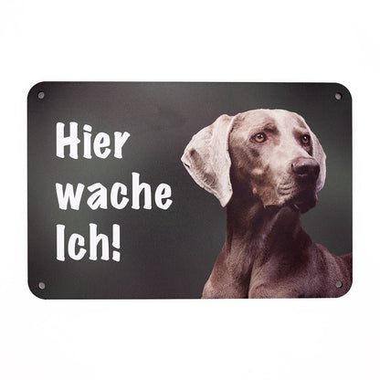 Weimaraner Warnschild „Hier wache ich!“ | Jagdhund Hundeschild für Zaun, Tor & Grundstück, wetterfest