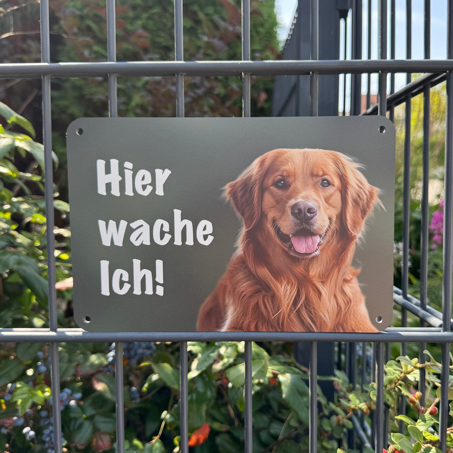 Golden Retriever Warnschild „Hier wache ich“ | Jagdhund Hundeschild für Zaun, Tor & Grundstück, wetterfest