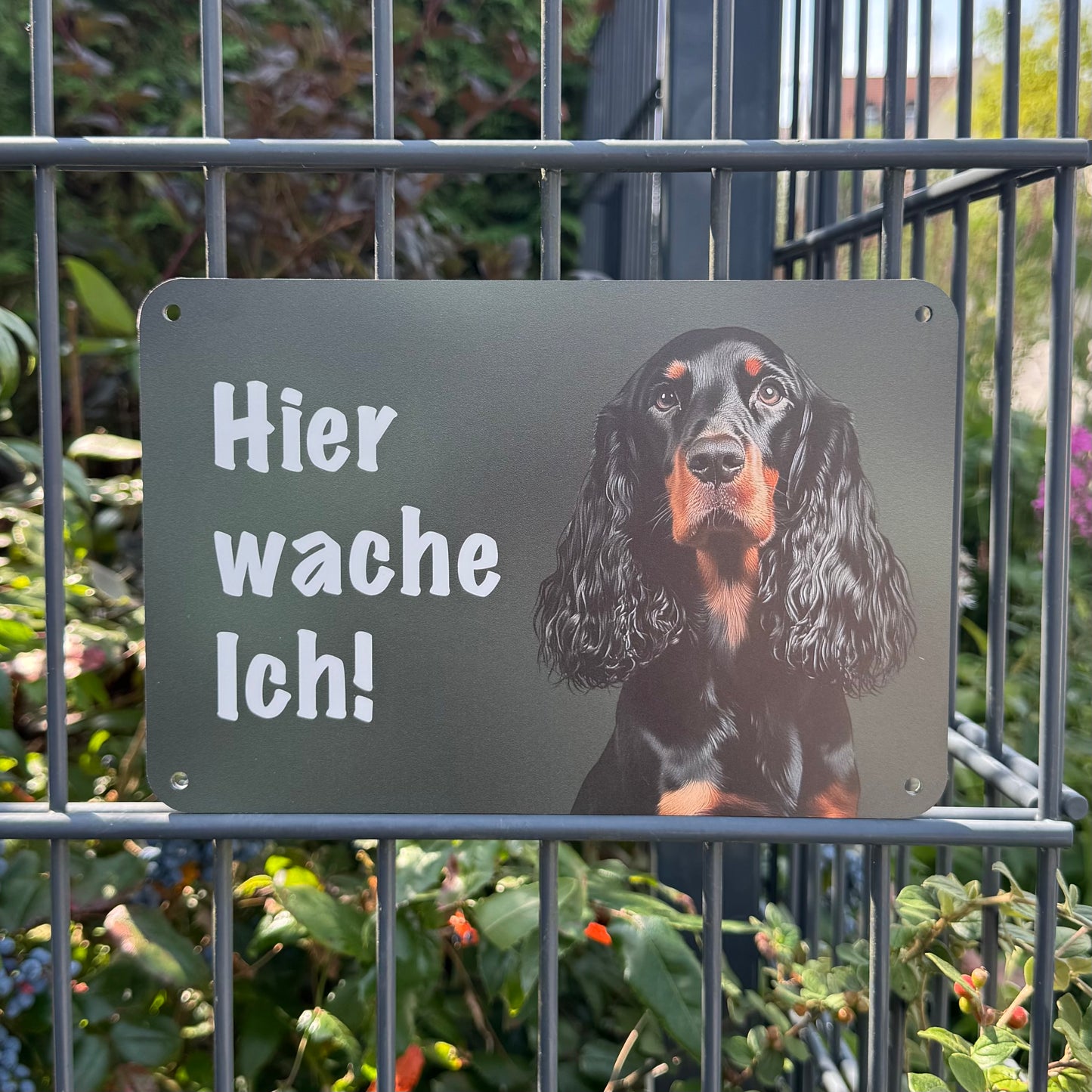 Gordon Setter Warnschild „Hier wache ich!“ | Jagdhund Hundeschild für Zaun, Tor & Grundstück, wetterfest