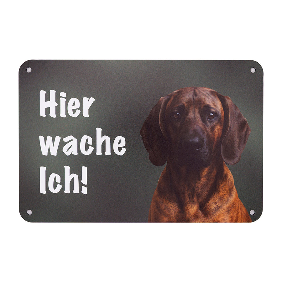 Hochwertiges Aluminium Hundeschild Hannoverscher Schweißhund “Hier wache ich!” für Gartenzaun, Eingang und Tor – wetterfestes Jagdhund Zaunschild 24x16 cm von Wilde Hilde Original