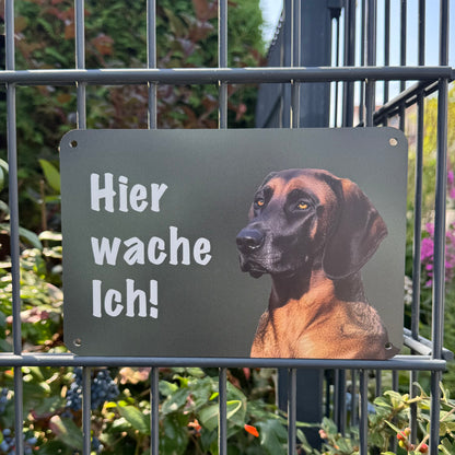 Hannoverscher Schweißhund Warnschild „Hier wache ich“ | Jagdhund Hundeschild für Zaun, Tor & Grundstück, wetterfest