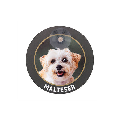 Hundeschild "Malteser" Autoschild rund mit Saugnapf