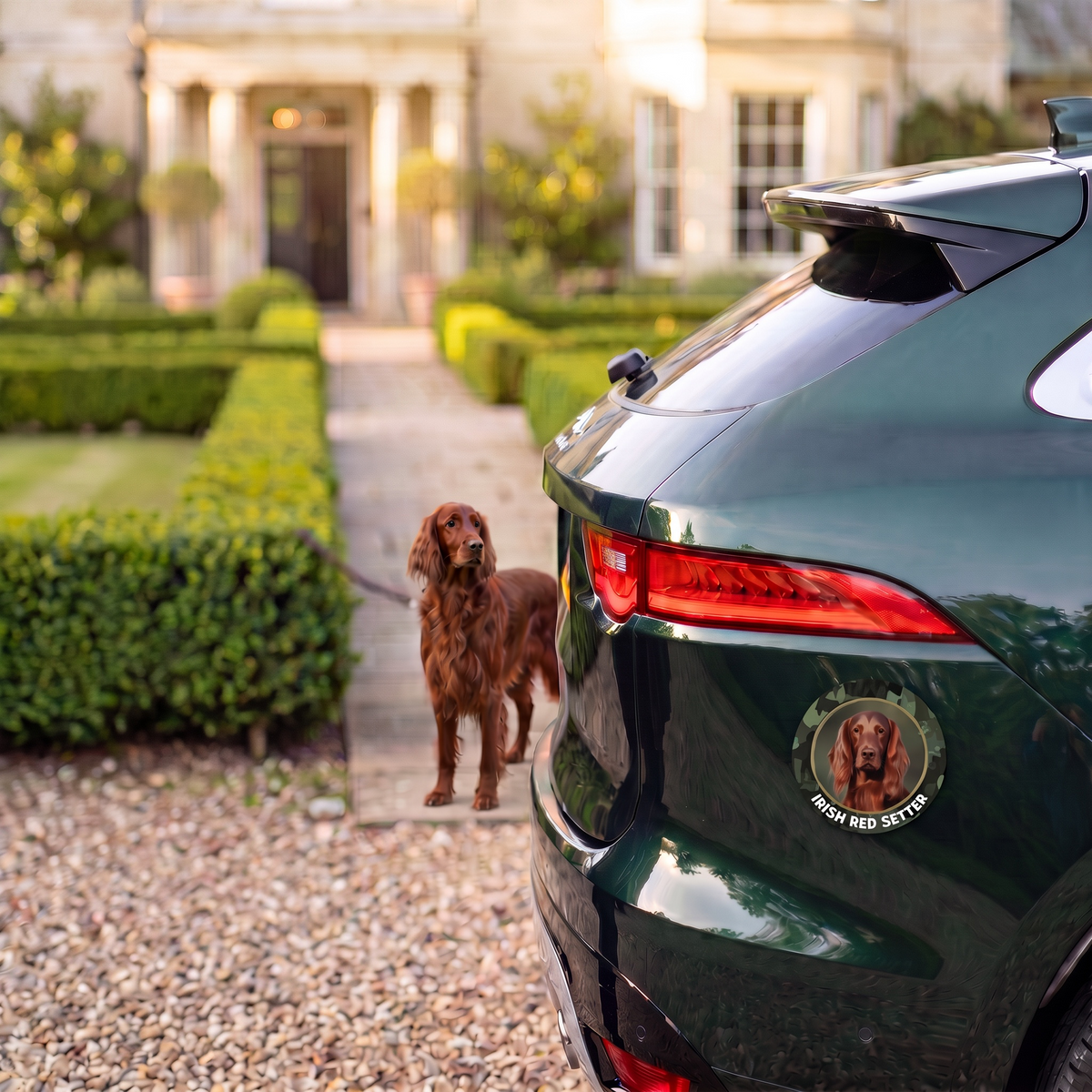 Irish Red Setter Aufkleber fürs Auto