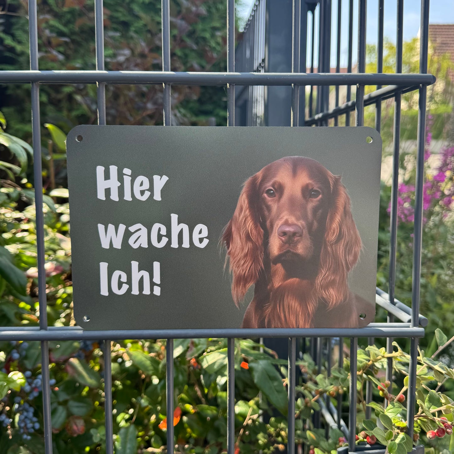 Irish Red Setter Warnschild „Hier wache ich!“ | Jagdhund Hundeschild für Zaun, Tor & Grundstück, wetterfest