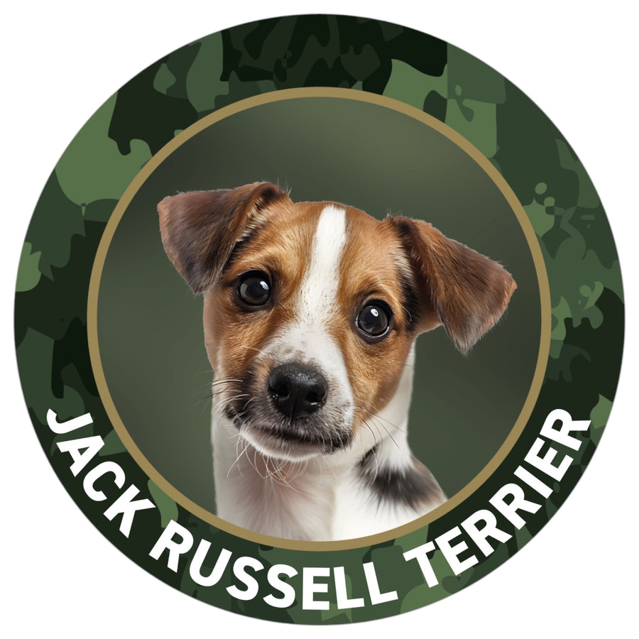 Jack Russell Terrier Aufkleber II fürs Auto