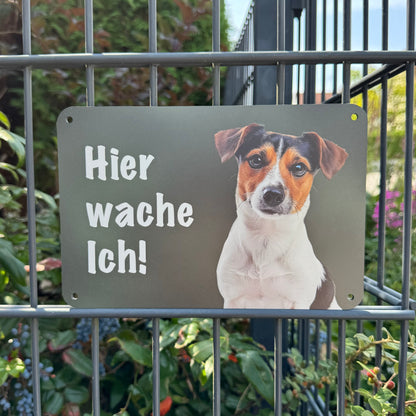 Jack Russell Terrier Warnschild „Hier wache ich“ | Jagdhund Hundeschild für Zaun, Tor & Grundstück, wetterfest