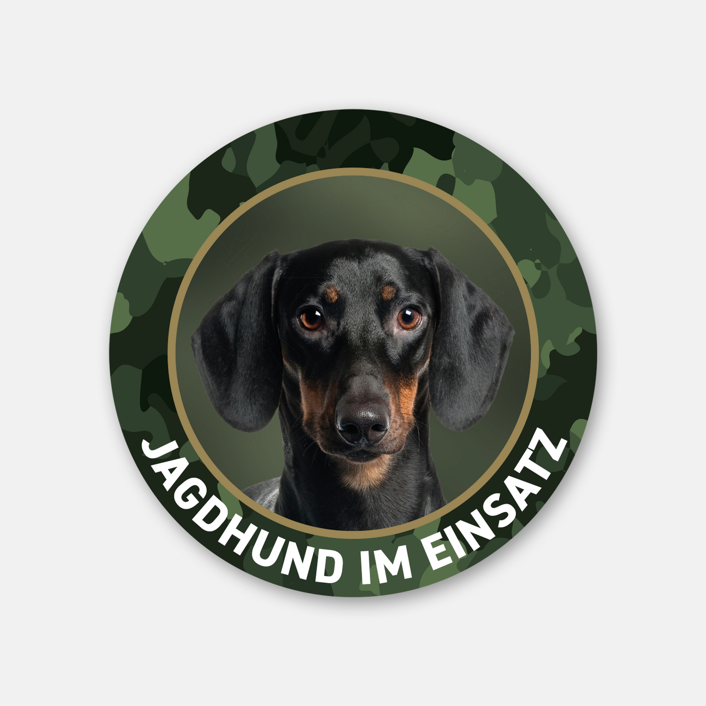 Dackelaufkleber "Jagdhund im Einsatz" Kurzhaardackel / Teckel / Dachshund