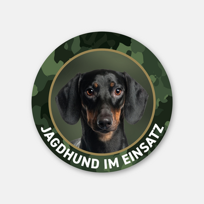 Dackelaufkleber "Jagdhund im Einsatz" Kurzhaardackel / Teckel / Dachshund