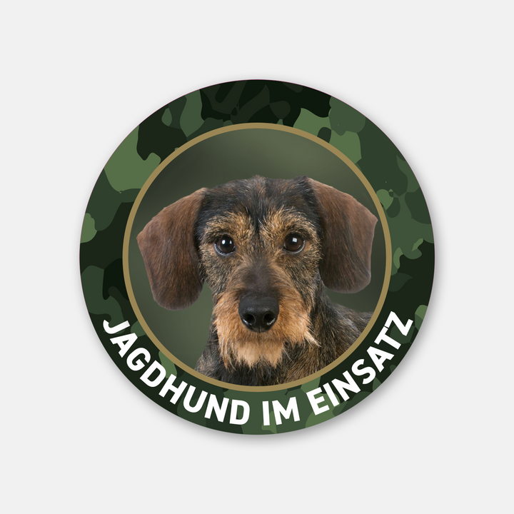 Dackelaufkleber "Jagdhund im Einsatz" Rauhaardackel / Teckel / Dachshund