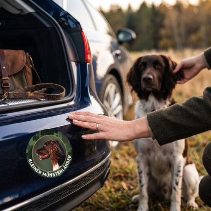 Kleiner Münsterländer Aufkleber fürs Auto