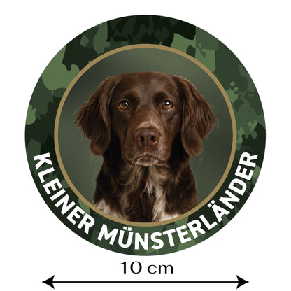 Kleiner Münsterländer II Aufkleber fürs Auto