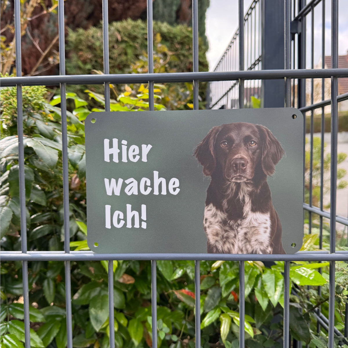 Kleiner Münsterländer Warnschild II „Hier wache ich!“