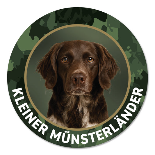 Kleiner Münsterländer II Jagdhund Premium-Aufkleber, UV- & witterungsbeständig, 7 Jahre im Außenbereich, Made in Germany, Ø 10 cm