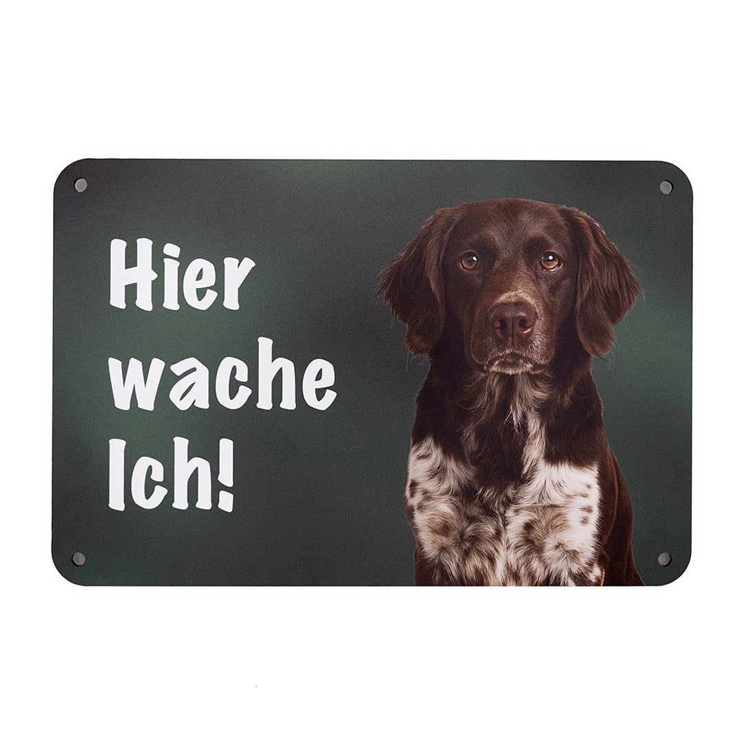 Kleiner Münsterländer KLM Warnschild, Hinweisschild für den Zaun oder Eingangsbereich mit der Aufschrift "Hier wache Ich!" aus Aluverbund mit Hundemotiv