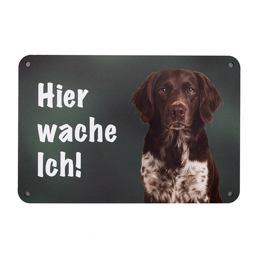Kleiner Münsterländer KLM Warnschild, Hinweisschild für den Zaun oder Eingangsbereich mit der Aufschrift "Hier wache Ich!" aus Aluverbund mit Hundemotiv