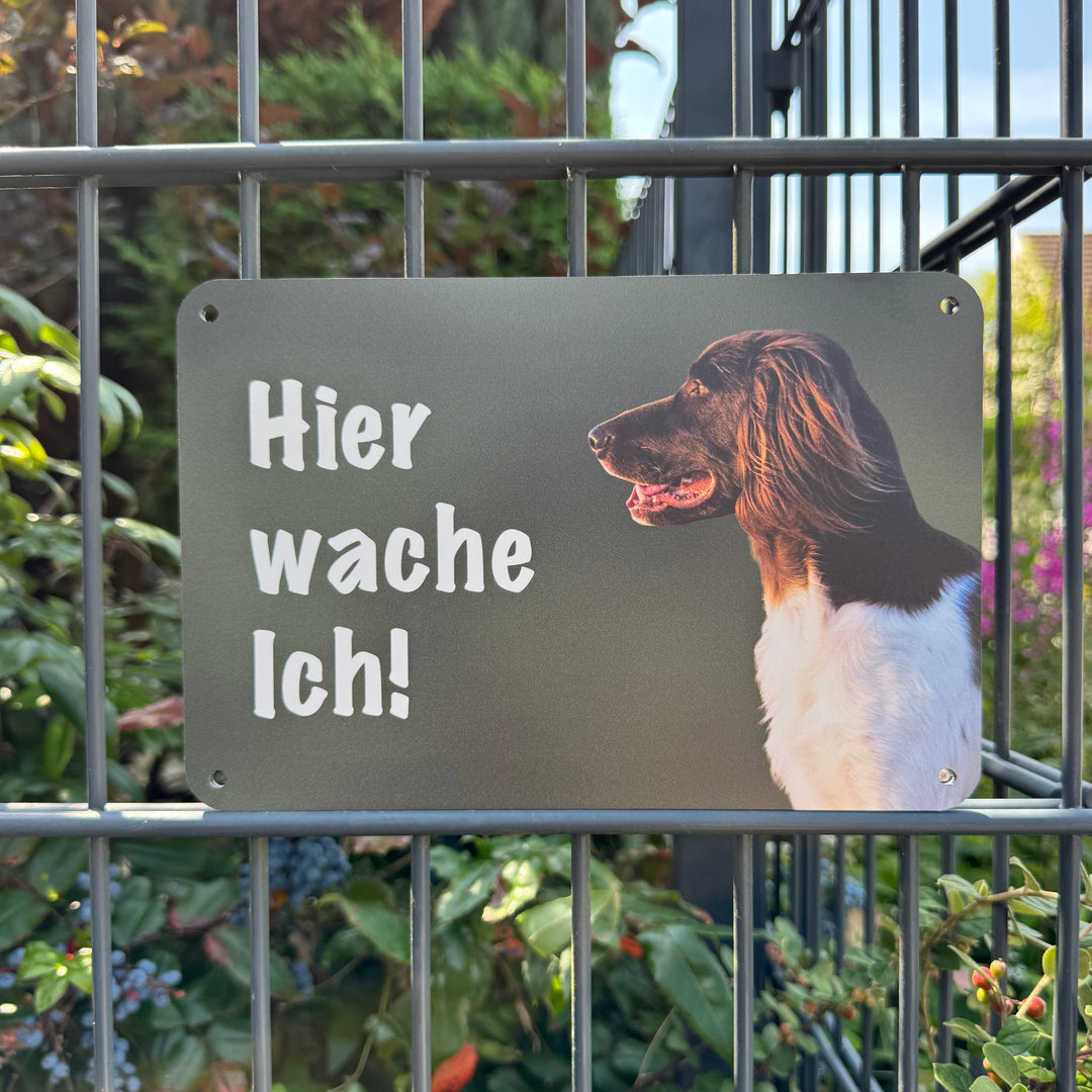 "Hier wache ich!" Zaunschild Kleiner Münsterländer
