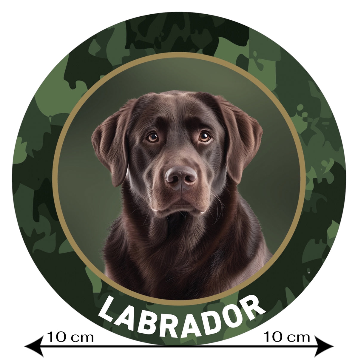 Labrador braun Aufkleber fürs Auto
