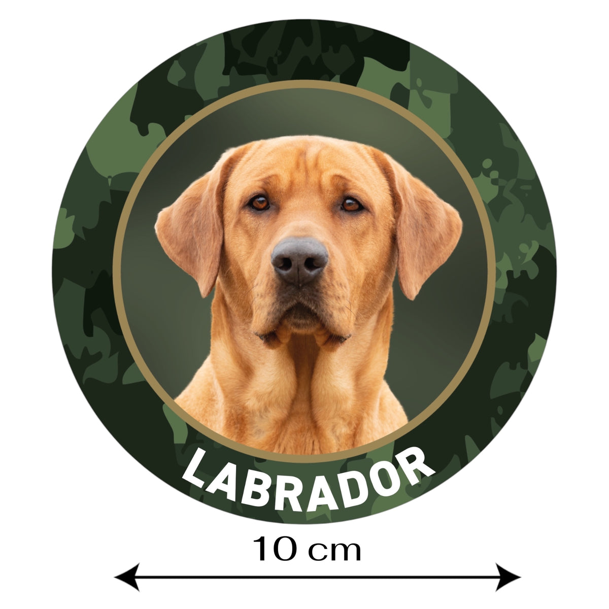 Labrador hellbraun Aufkleber fürs Auto