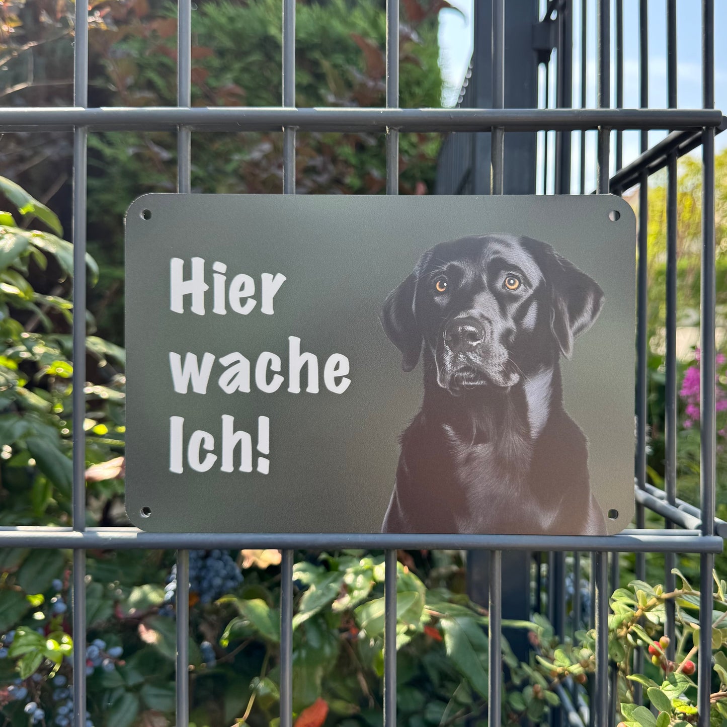 Labrador schwarz Warnschild „Hier wache ich“ | Jagdhund Hundeschild für Zaun, Tor & Grundstück, wetterfest