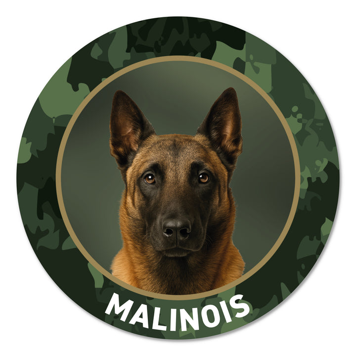 Belgischer Schäferhund - Malinois Premium-Aufkleber, UV- & witterungsbeständig, 7 Jahre im Außenbereich, Made in Germany, Ø 10 cm