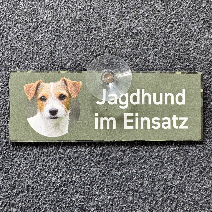 Jagdhund im Einsatz "Parson Russel Terrier" Drahthaar