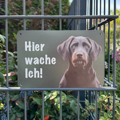 Pudelpointer Warnschild „Hier wache ich!“ | Jagdhund Hundeschild für Zaun, Tor & Grundstück, wetterfest
