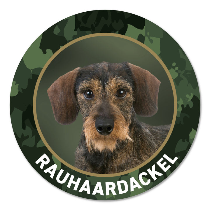 Rauhaardackel Jagdhund Premium-Aufkleber, UV- & witterungsbeständig, 7 Jahre im Außenbereich, Made in Germany, Ø 10 cm