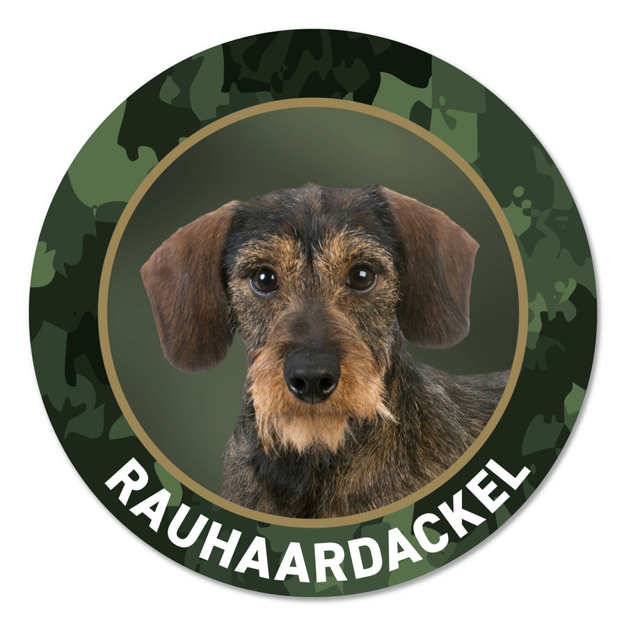 Rauhaardackel Aufkleber fürs Auto