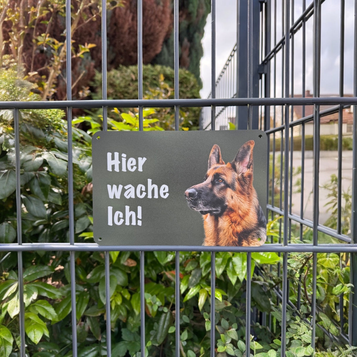 Deutscher Schäferhund Warnschild Porträt „Hier wache ich!“