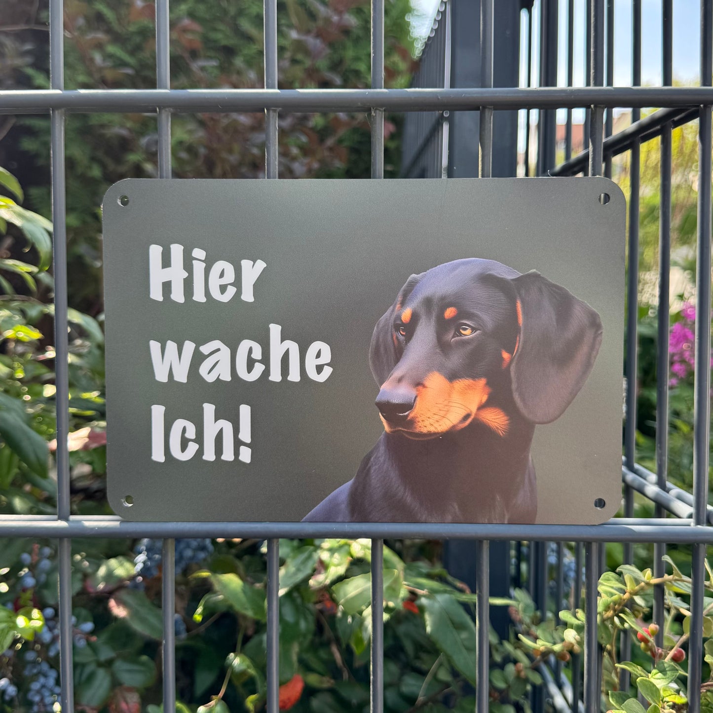 Slovensky Kopov Warnschild „Hier wache ich“ | Jagdhund Hundeschild für Zaun, Tor & Grundstück, wetterfest