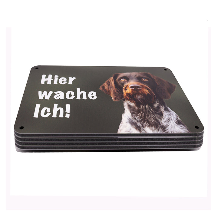 "Hier wache ich!" Deutsch Drahthaar (DD) Braunschimmel