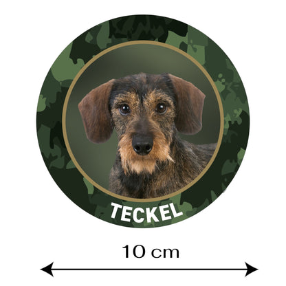 Teckel Rauhaar Aufkleber fürs Auto
