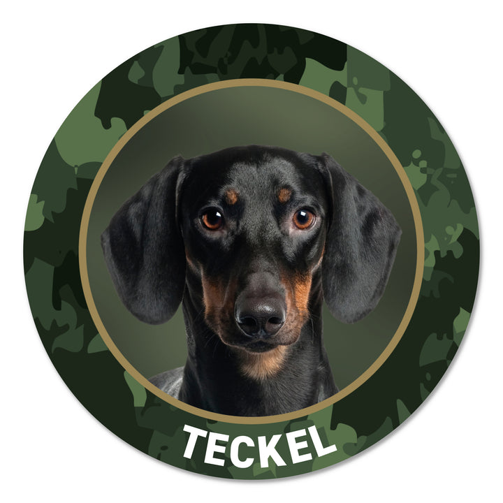 Teckel Kurzhaar Jagdhund Premium-Aufkleber, UV- & witterungsbeständig, 7 Jahre im Außenbereich, Made in Germany, Ø 10 cm