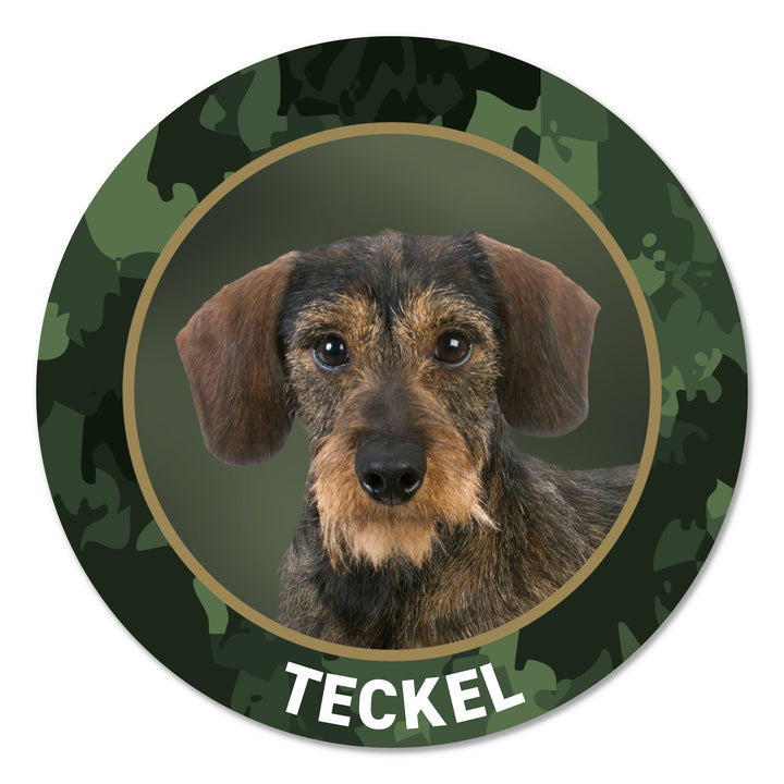 Teckel Rauhaar Jagdhund Premium-Aufkleber, UV- & witterungsbeständig, 7 Jahre im Außenbereich, Made in Germany, Ø 10 cm