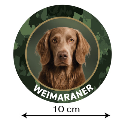 Weimaraner Langhaar Aufkleber fürs Auto