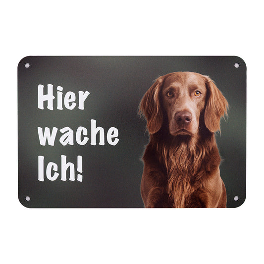 Weimaraner Langhaar Warnschild „Hier wache ich!“ | Jagdhund Hundeschild für Zaun, Tor & Grundstück, wetterfest