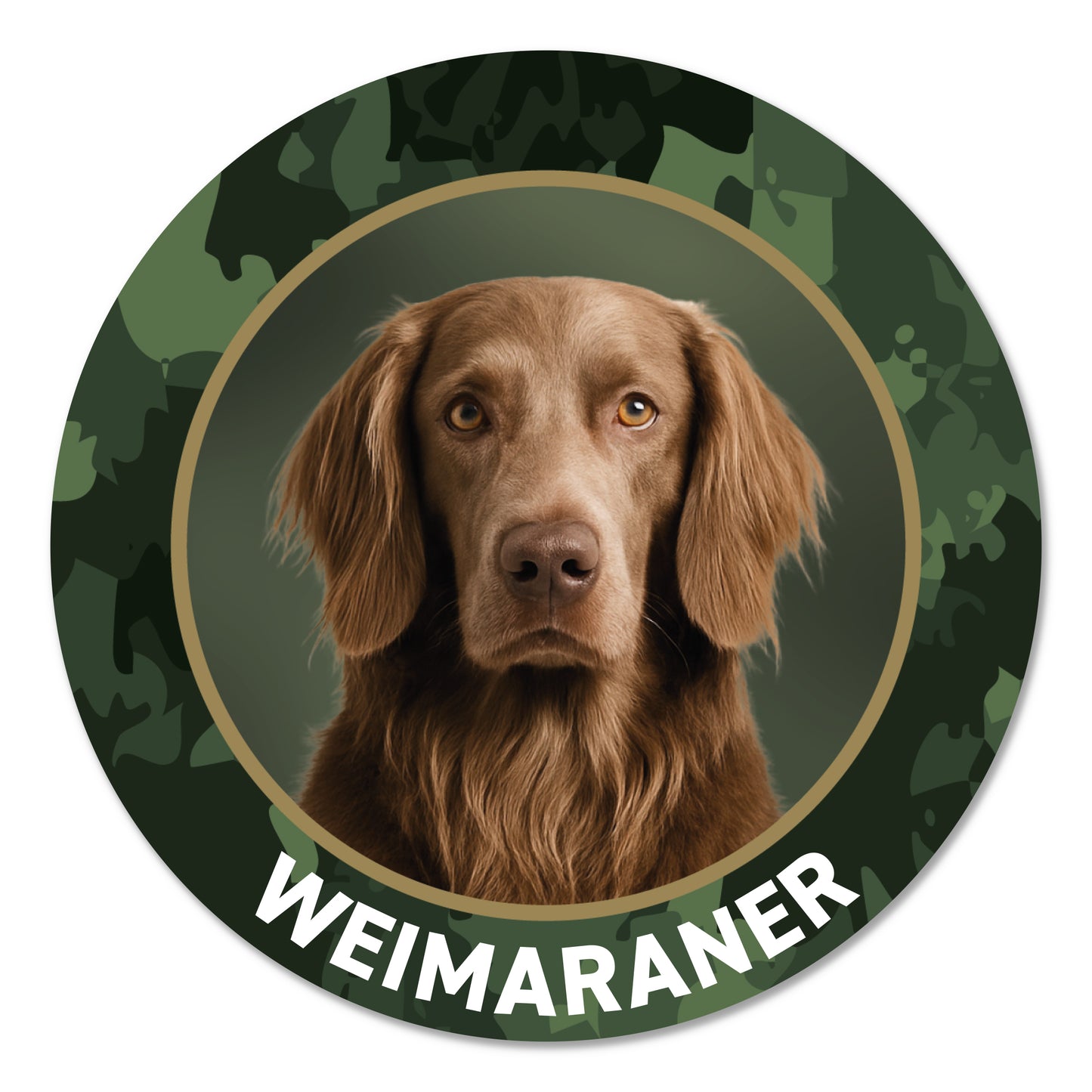 Weimaraner Langhaar Jagdhund Premium-Aufkleber, UV- & witterungsbeständig, 7 Jahre im Außenbereich, Made in Germany, Ø 10 cm